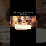 修羅場w #あつ森 #あつまれどうぶつの森 #あつ森好きな人と繋がりたい #animalcrossing #ゆめみ #おかめなっ島 #acnh #修羅場 #shorts #comedy #裏切り