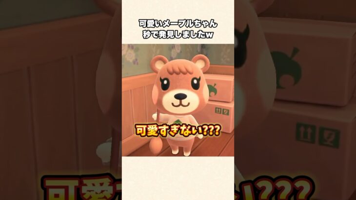 【あつ森】神回！爆速で出会えた！可愛すぎる子グマ住民メープルちゃんw【あつまれどうぶつの森】#shorts #あつ森