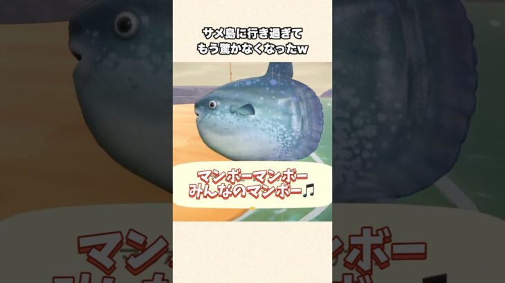 【あつ森】激レアサメ島に行き過ぎ問題発生！鮫大量ゲットだけどもう驚きませんw【あつまれどうぶつの森】#shorts #あつ森