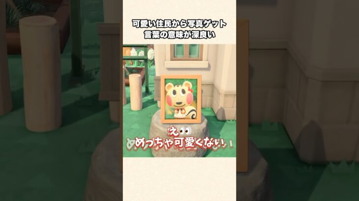 【あつ森】ついに念願の写真をゲット！書かれてた意外な言葉とはw【あつまれどうぶつの森】#shorts #あつ森