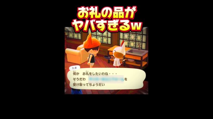 【あつ森】ルーティンしてたら奇跡が起こったwww