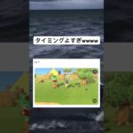 タイミング良いなwwwwww#twitter #おすすめ #おもしろ #あつ森 #どうぶつの森