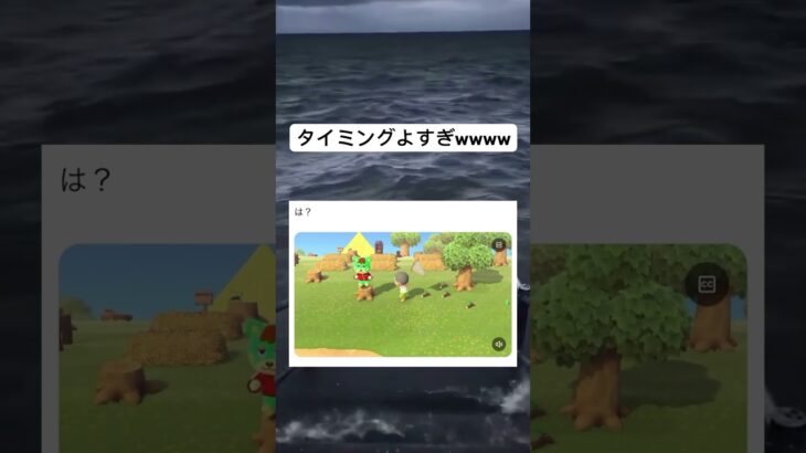 タイミング良いなwwwwww#twitter #おすすめ #おもしろ #あつ森 #どうぶつの森
