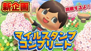 新企画！第0回「あつ森マイルスタンプコンプリートへの旅」あつまれどうぶつの森/たぬきマイレージあつめ