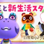【あつ森】新しい島生活 1日目！白雪姫の自然な島クリエイト #あつまれどうぶつの森