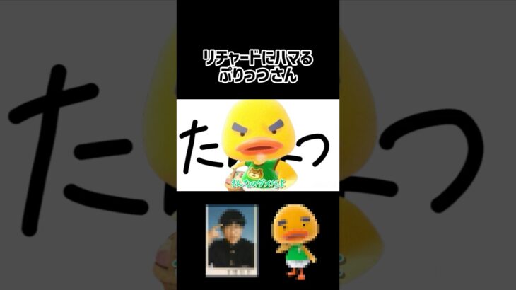 あつ森の中でリチャードが1番大好きだからぷりっつさんもハマってくれて嬉しすぎる😭😭💖リチャードのコメント拾ってくれてありがとう՞߹ – ߹՞ #ぷりっつ #amptak #stprclip