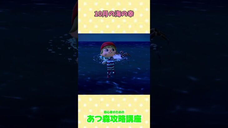10月の海の幸　#あつ森 #あつ森攻略講座 #あつ森裏技 #あつ森10月 #あつ森コンプ