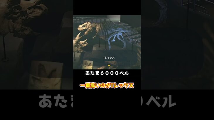 【あつ森】化石1000コ売るといくらになる？　　　　　　　　　　　　　　　 #あつまれどうぶつの森　 #あつ森　 #ゆっくり実況