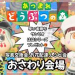#103 【あつ森】ジムノエ島のおさわり会！