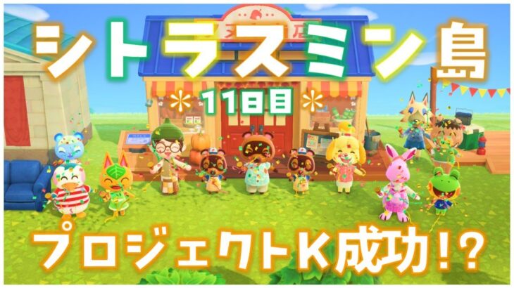 【あつ森】ついにとたけけ来訪！？島クリ解禁！！シトラスミン島＊11日目＊【生放送】
