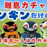 #2【あつ森】１０人目のペンギン探しの離島ガチャ！目指せ！ペンギンだけの島🐧