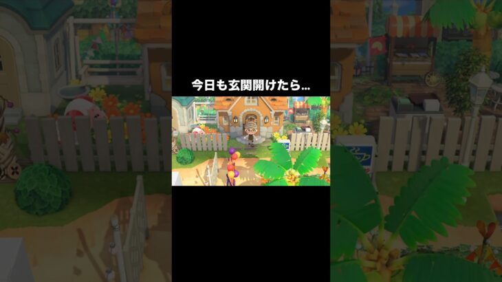 玄関開けたら2秒で…♨️ #あつ森 #あつまれどうぶつの森 #あつ森好きな人と繋がりたい #animalcrossing #ゆめみ #おかめなっ島 #acnh #shorts #ちゃちゃまる