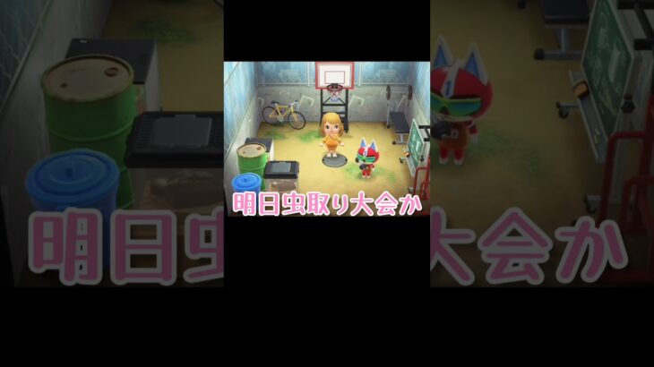 2人とも怒っていいよ？【あつまれどうぶつの森】#あつ森 #ゲーム実況 #shorts