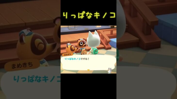 りっぱなキノコ【あつ森】20250909