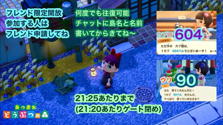 【あつ森】2025,8/31 カブ価604&ウリ90(21:25あたりまで)【フレンド限定開放、参加する人はフレンド申請してね】