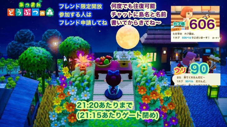 【あつ森】2025,9/28  カブ価606&ウリ90(21:20あたりまで)【フレンド限定開放、参加する人はフレンド申請してね】