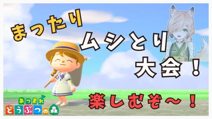 #24【#あつ森】まったり、夏のムシとり大会編｜和風島を目指して【#新人VTuber】【#switch2 】【#初見さん大歓迎】【どう森歴２０年以上】