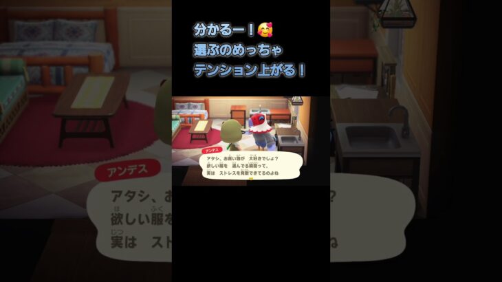 あつ森　#260　まったりしていきませんか？🦅✨️