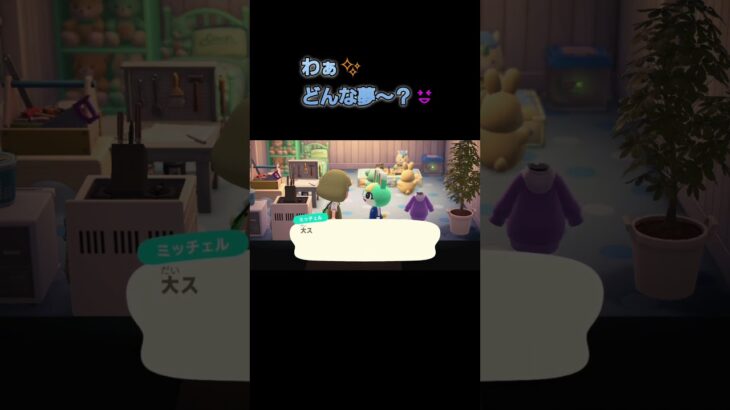あつ森　#261　まったりしていきませんか？🐰🍪