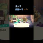 あつ森　#264　まったりしていきませんか？🐰😋✨️