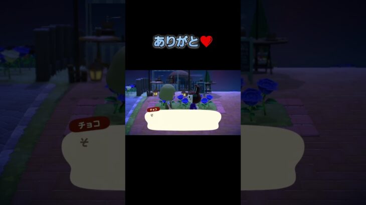 あつ森　#265　まったりしていきませんか？🐰～🎵