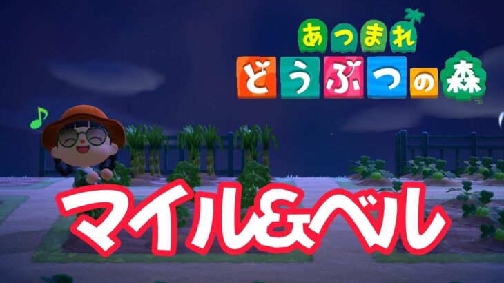 【あつ森】スローライフを求めて　27日目