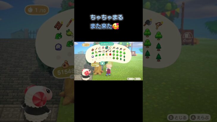あつ森　#270　まったりしていきませんか？🐑🌳✨️