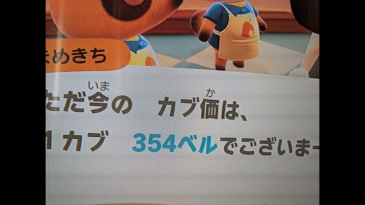【あつ森】カブ354島開放中！高評価、チャンネル登録で無料です！