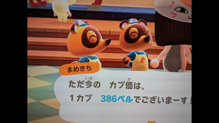 【あつ森】カブ386島開放中！高評価、チャンネル登録で無料です！