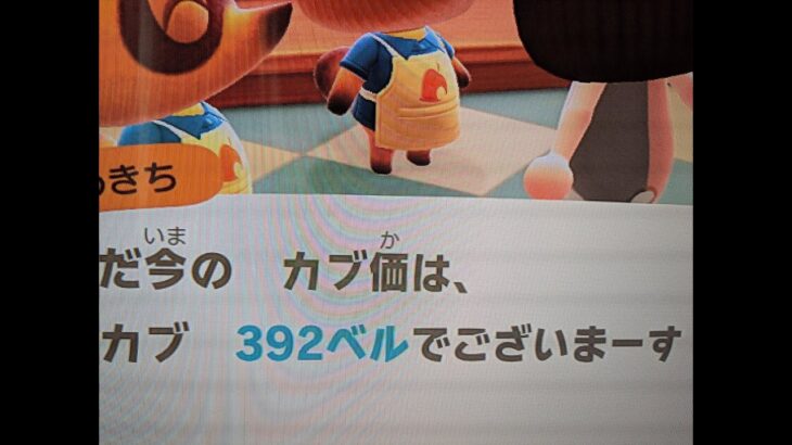 【あつ森】カブ392島開放中！高評価、チャンネル登録で無料です！