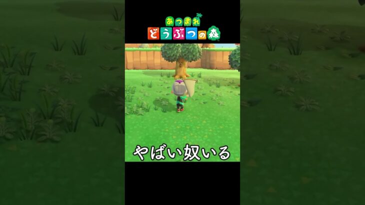 【あつ森】4倍 やべえ奴