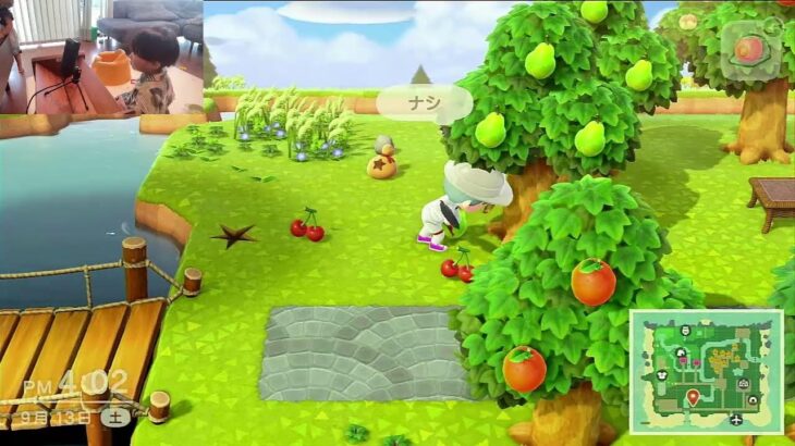 【あつ森】4歳児のゲームって可愛いすぎる