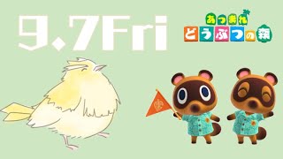 4年放置した島を復興する【あつ森】