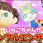 【あつ森アニメ】新作！「インフルエンサーいちごちゃん」ストロベリーホームパパ40話（あつまれどうぶつの森）