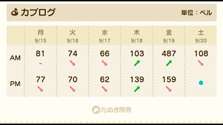 【あつ森】カブ487島開放中！高評価、チャンネル登録で無料です！