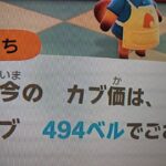 【あつ森】カブ494島開放中！高評価、チャンネル登録で無料です！