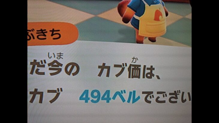 【あつ森】カブ494島開放中！高評価、チャンネル登録で無料です！