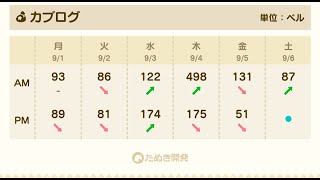 【あつ森】カブ498島開放中！高評価、チャンネル登録で無料です！