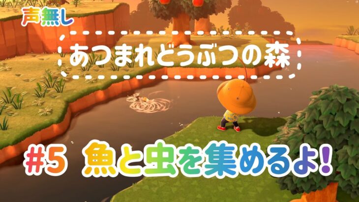 【あつ森プレイ】#5声なし　#4の続きの虫・魚採り