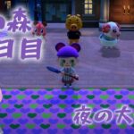 ゆったり過ごす【あつ森58日目】