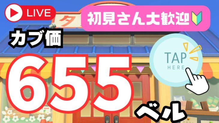 カブ価655ベル 島開放中！あつまれどうぶつの森【視聴者参加型】