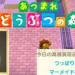 #あつ森 9月15日(月)カブリバとつねきち