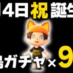 【あつ森】誕生日記念！離島ガチャ94回でパセリに会う！【あつまれどうぶつの森】