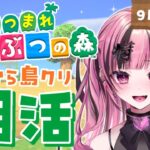 【 #朝活 】9月8日（月）の #あつ森 やるぞー！ゼロから島クリ借金生活！？#新人vtuber 愛瀬きら
