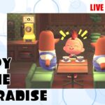 【あつ森】オシャレなレイアウトを身につける配信！ ACNH/ハッピーホームパラダイス！