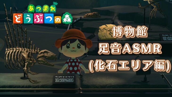 【あつ森】博物館の化石エリアの床を堪能【足音ASMR】