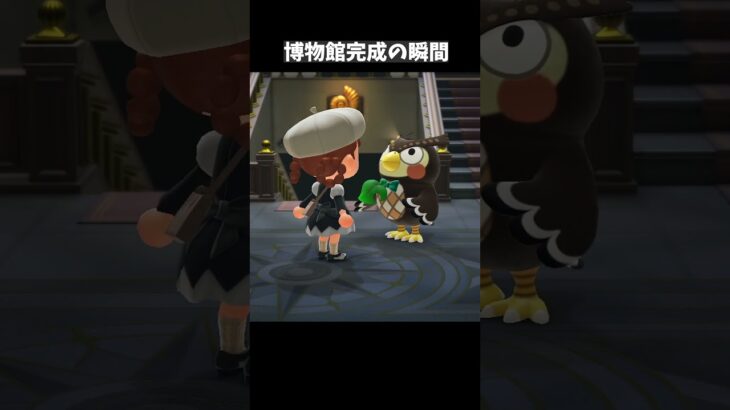 【あつ森】博物館完成🦉静かな癒しのBGM📚 Relaxing Museum Ambience | Animal Crossing BGM　#shorts  #ショート#acnh #あつ森