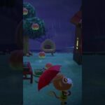 【あつ森BGM】雨の日ほっこりLo-Fi☂️雨音と共に☔️ #あつ森 #acnh #animalcrossing #lofi #relaxingmusic #集中 #あつ森bgm