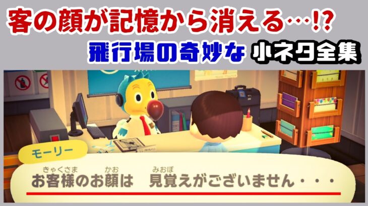 【あつ森】客の顔が記憶から消える……！？怖すぎる奇妙なセリフが見つかる……あつ森の「飛行場」に隠れた細かすぎる小ネタ集！【あつまれ どうぶつの森】@レウンGameTV