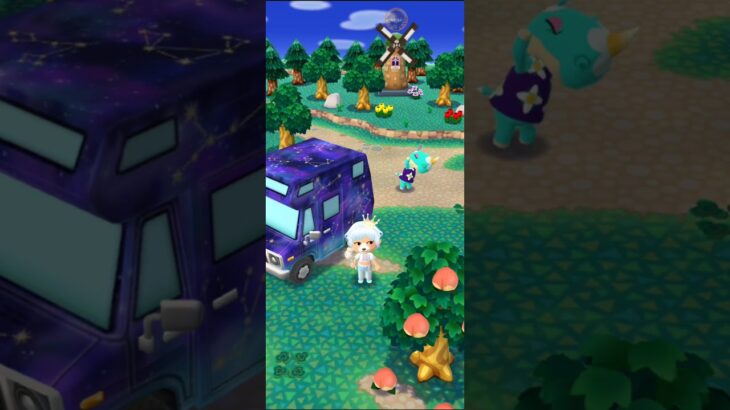M_2500805-B      #Nintendo #AnimalCrossingNewHorizons #ポケ森 #PocketCamp #acnh #ゲーム #あつ森 #Games #動物森友會